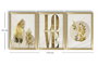 Wallity Conjunto de 3 Cuadros Decorativos Enmarcados en MDF, 38 x 53 cm